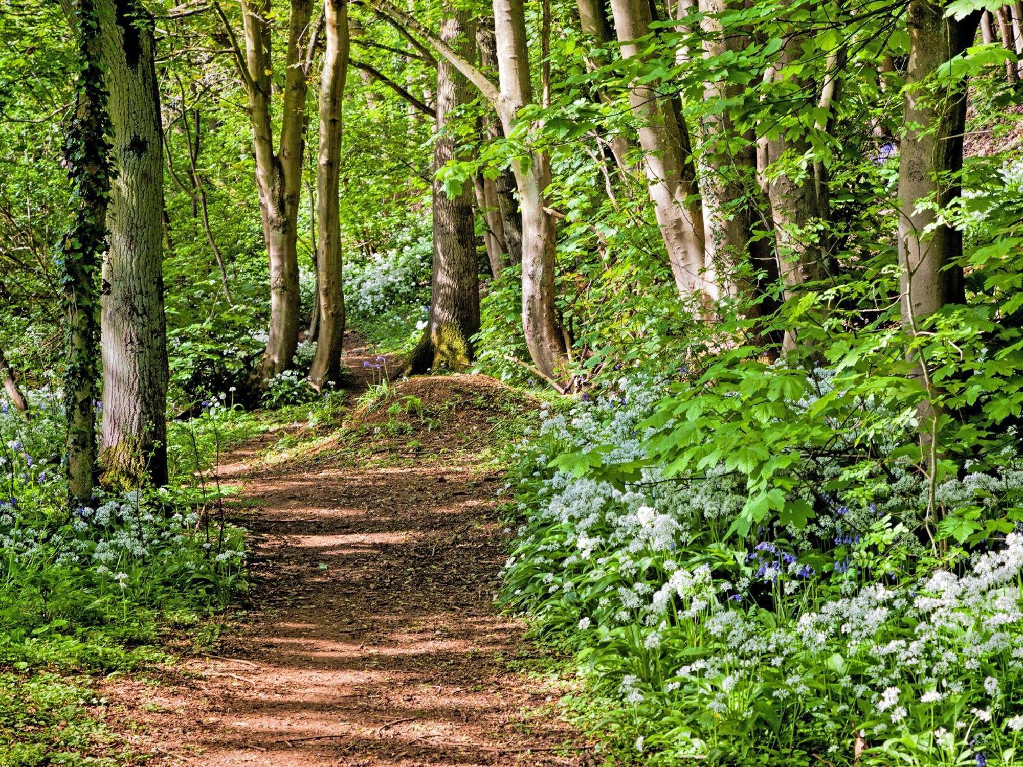 Squirrel Cottage Hook Norton المظهر الخارجي الصورة